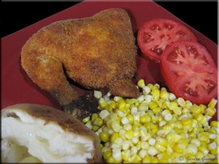 janine vandenburg - Homemade Shake & Bake Chicken Coating