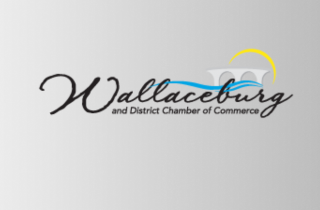 chamber logo