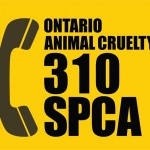 10294407_10152349987921648_6005193164432075689_n