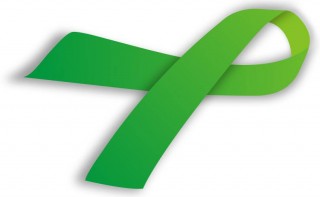 Green_ribbon LS