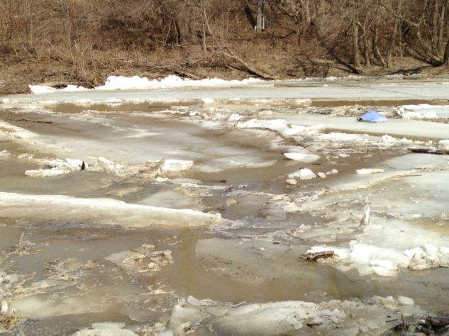 Sydenham River Dresden Wallaceburg April 1 2014_8_0401