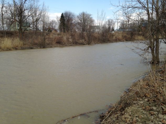 Sydenham River Dresden Wallaceburg April 1 2014_9_0401
