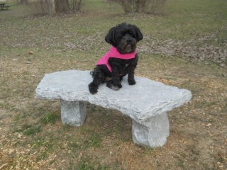 bench 1