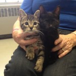 10346224_291937550968085_4790908500522727192_n