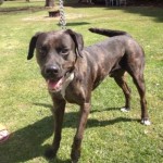 10386823_670641632991639_7317347362764042373_n