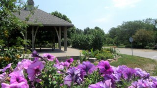 CK Dresden Arboretum