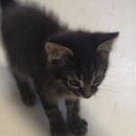 0de779f9-65ac-4d99-a271-df5a8468d197