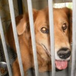 10372508_682306208491848_3846073947808693351_n