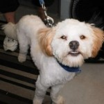 10514741_772396932811706_8795356276218741207_n