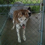 1380257_675530702502732_4611579462802706307_n