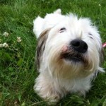 2a8b46bb-7ca3-4cd8-a486-8090db4abdbb