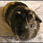 71e8bfeb-5725-4ae7-b05b-005f42db0c28