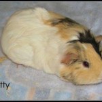 91f76082-7eb9-4657-a846-28ea0c3e5ab9