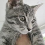 92e29f51-47b2-4360-8813-39992ceff66a_TN1