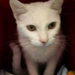 9d7ded90-c6b2-4bbf-b3f3-497cc92c7e99