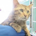 a7d57868-f66d-4f53-badf-76b4da3dfd5c