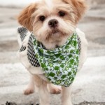 pet_2777_1-275x275