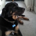 10426638_747148118657952_8122352915610010524_n