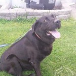 10513323_696869390368863_5432292409459536415_n