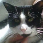 10552538_697039190351883_8030355214221628015_n