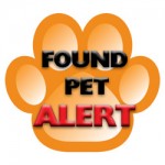 Found-Pet-Alert-Icon