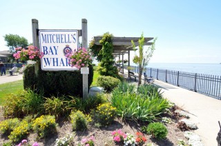Mitchells Bay (2)