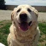 10309523_714092465313222_7582398104535017076_n