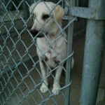 10363361_10152588577801125_1647683286161149159_n