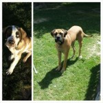 10377072_704707336251735_455586424320454190_n