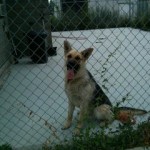 1233397_10152588577746125_4782546019631766385_n