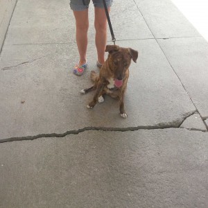 1458602_10152432376573153_8531029364257085489_n