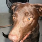 10616101_720505448005257_3751994719956698147_n