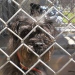 10689630_726649707390831_5417064237789436782_n