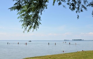 Mitchells Bay (12)