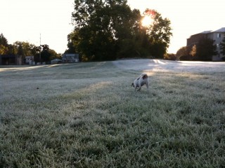 frost