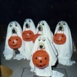 images-12