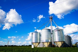 CK Agriculture (6)