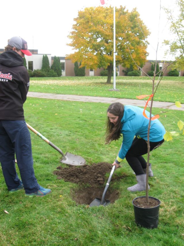 GREEN Schools tree permission4 LKCS Troy Knowler&Haley De Turse