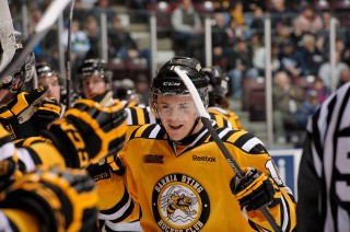 sarnia sting