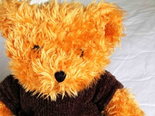 teddy bear