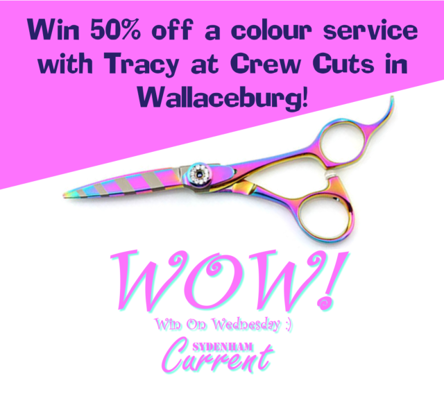 tracy wow web