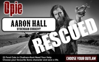 10385554_418787878275256_7819395806092588732_n