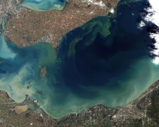 toxic algae bloom lake erie