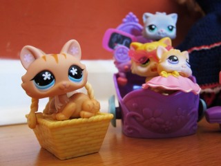 toy