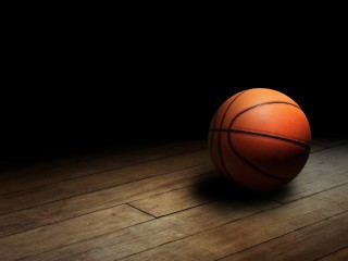 basketball auction hoops wdss