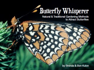 butterfly-whisperer