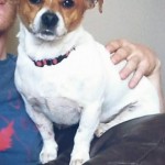 pet_2998_1-292x300