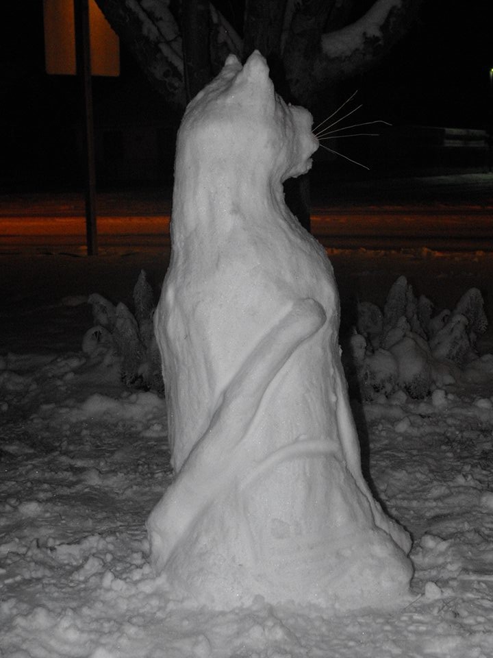 snow kitty wallaceburg holly 3