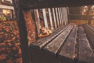 wooden park bench homelessness