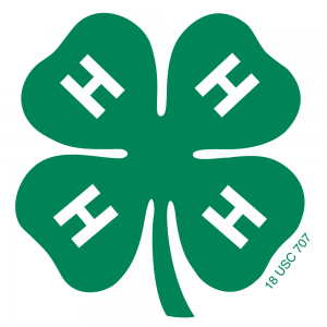 4H